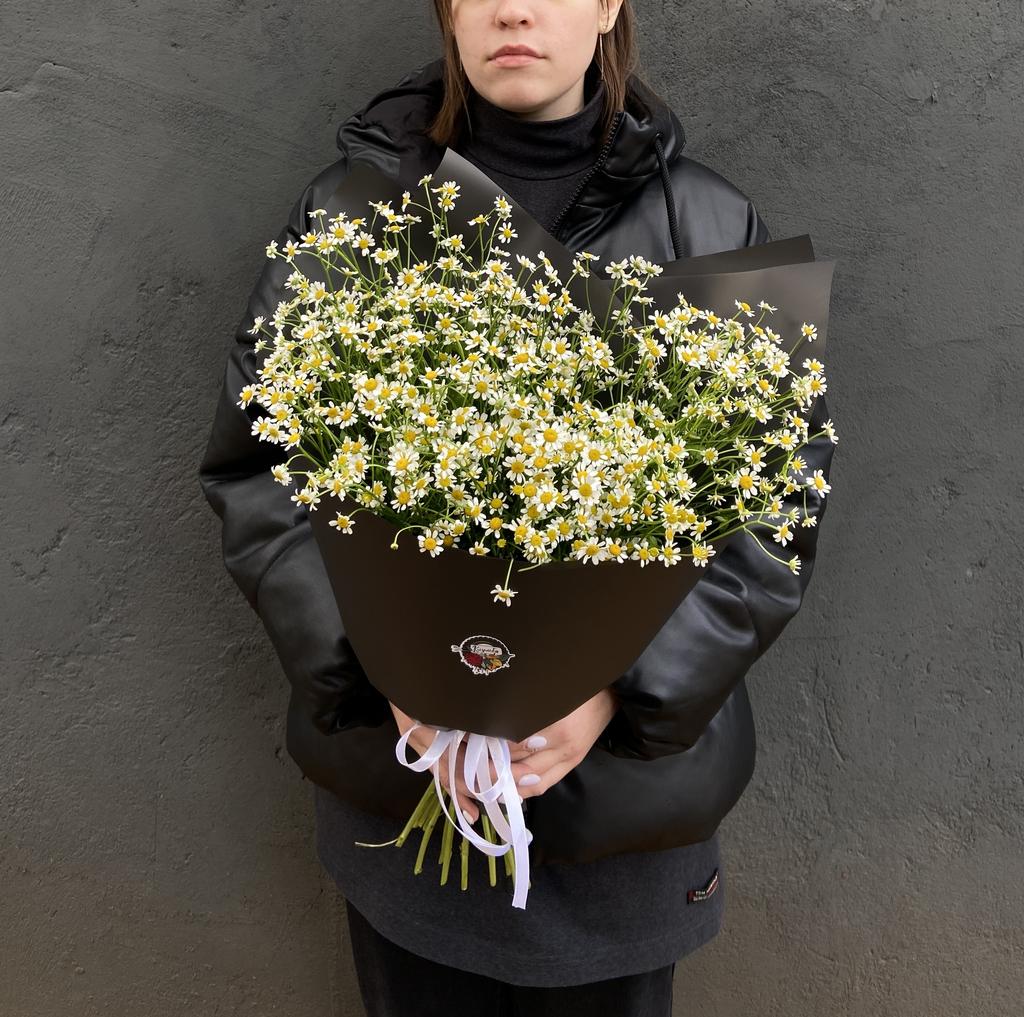 Букет "Танацетум Black"