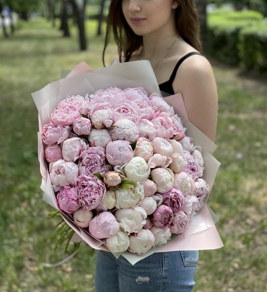 51 сортовый пион