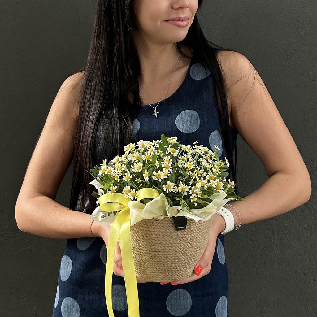 Композиция «Поле из ромашек»