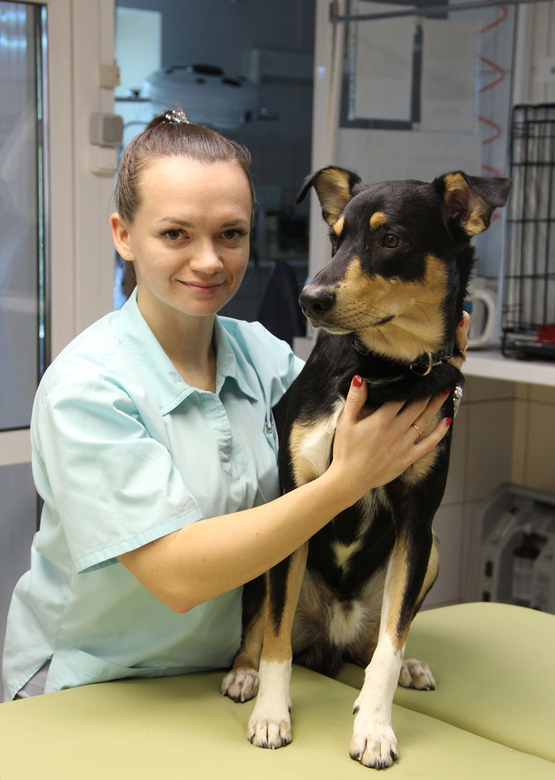 Милославская Наталия, ветеринарный врач