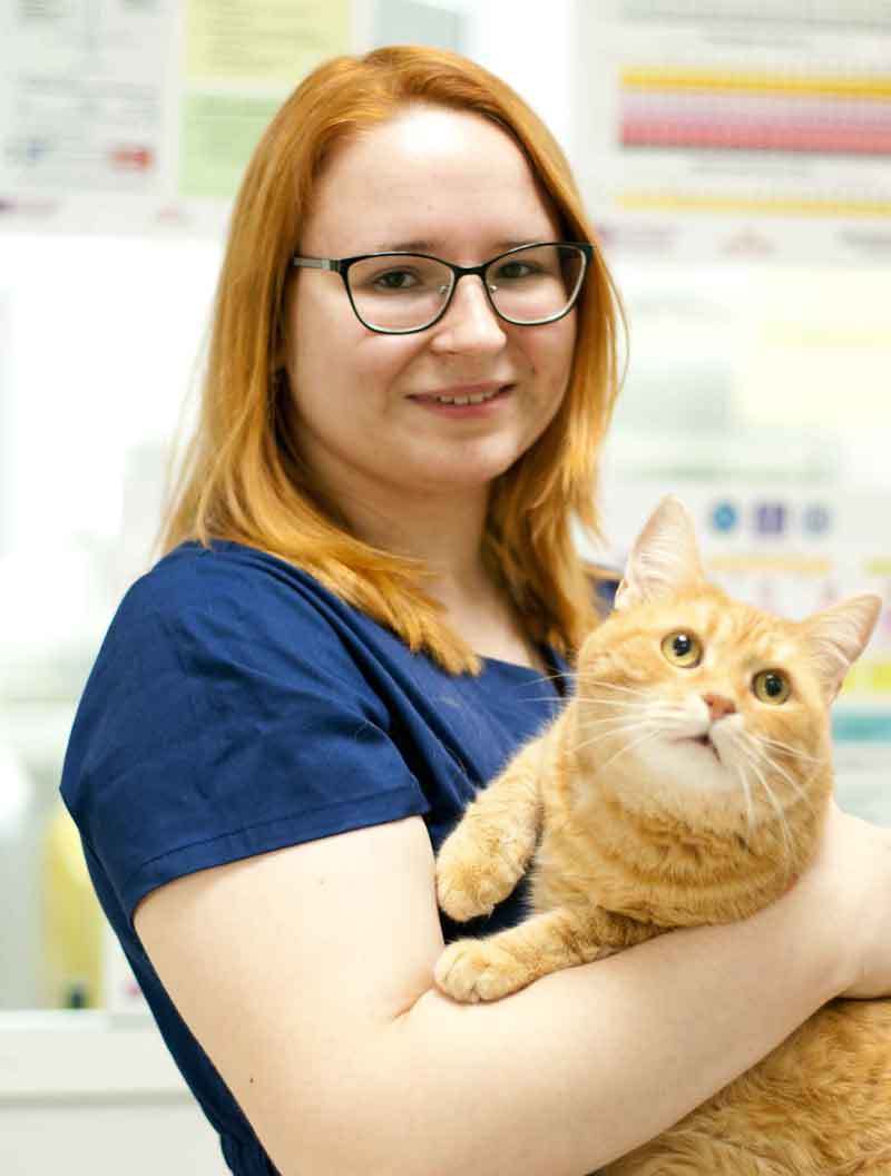 Португальская Дария, ассистент