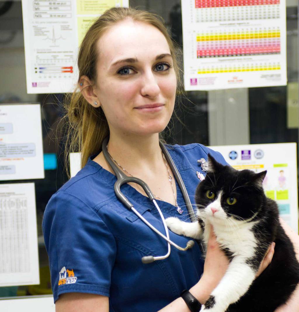 Ныркова Дарья Александровна, ветеринарный врач