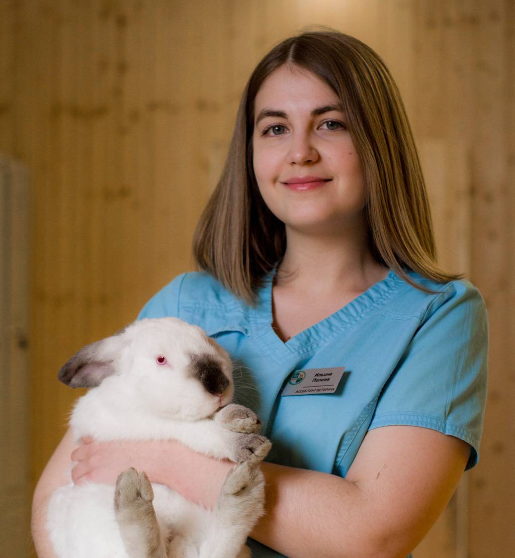 Ильина Полина Игоревна, ветеринарный врач
