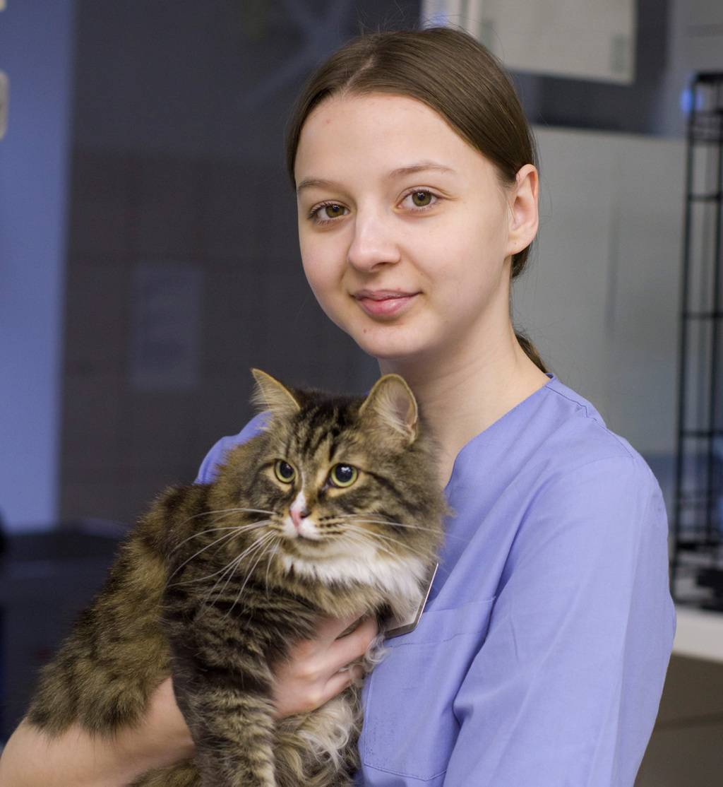 Демиденко Александра, ассистент ветврача