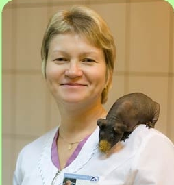 Баженова Эдварда Геннадьевна, ветеринарный врач (дерматология)