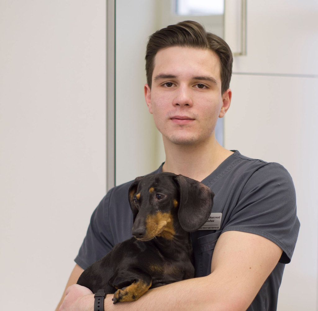 Прикладовский Богдан Александрович, ветеринарный врач
