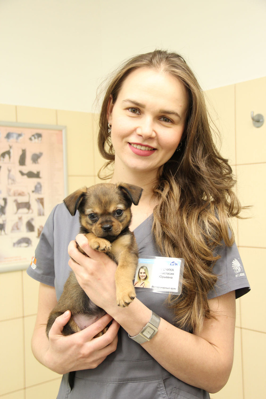 Гречиха Анастасия Юрьевна, ветеринарный врач (офтальмология, неврология)