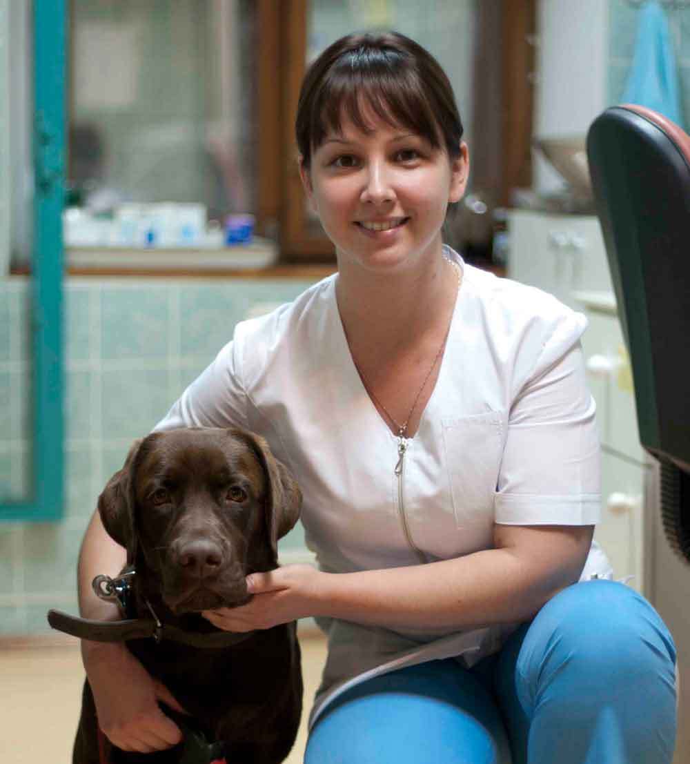 Филоненко  Любовь Сергеевна, ветеринарный врач (дерматология)
