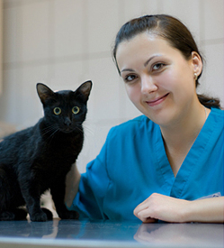 Горцева Анастасия Михайловна, ветеринарный врач, дерматолог