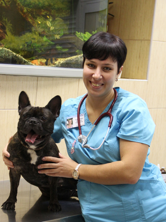 Романова Виктория Евгеньевна, ветеринарный врач, кандидат биологических наук (специалист по лечению грызунов и экзотических животных)