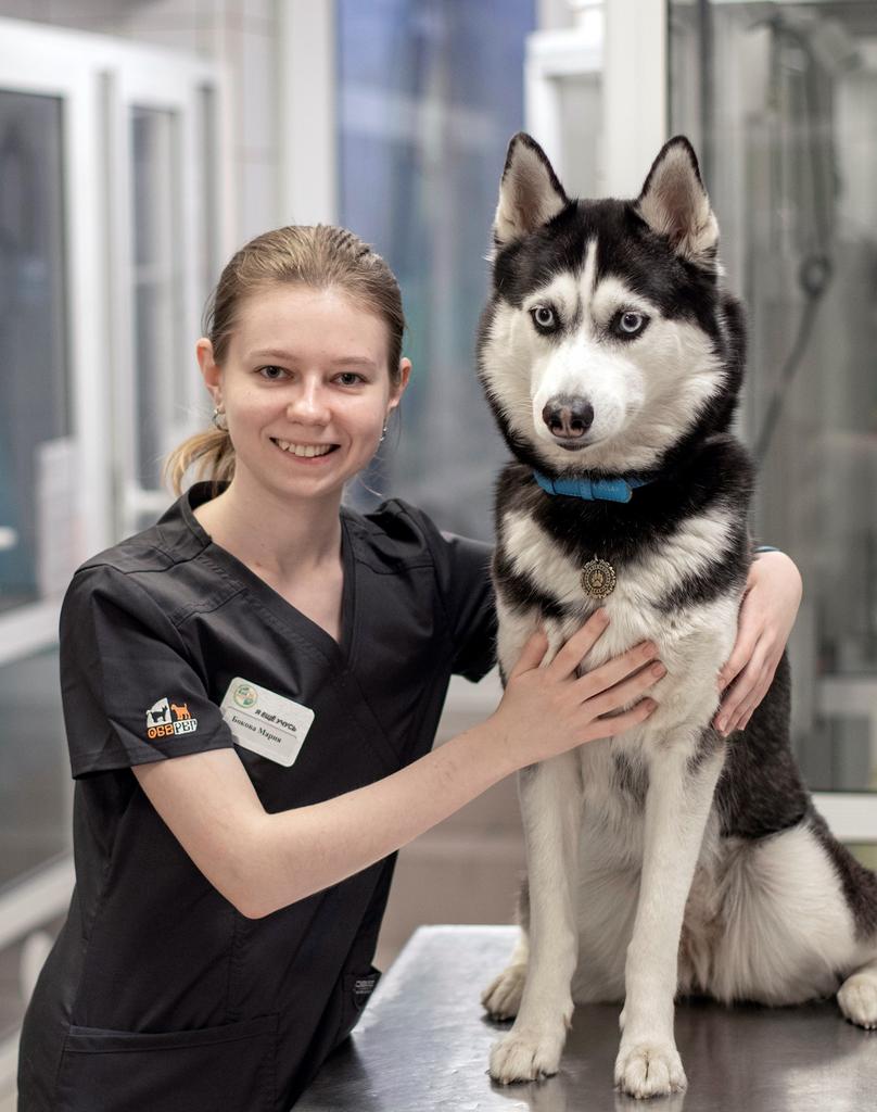 Бокова Мария, ассистент ветеринарного врача