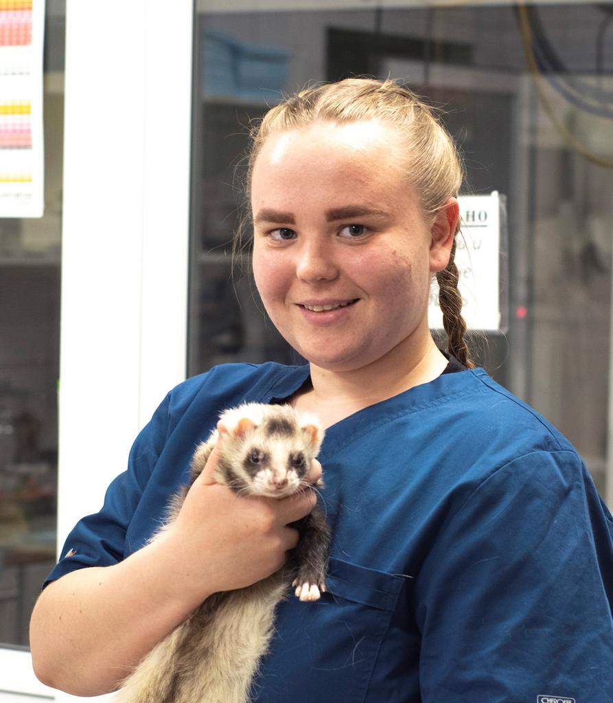 Чикулаева Валерия, ассистент ветеринарного врача