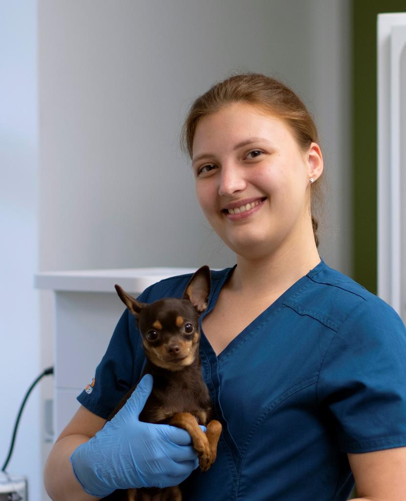 Токарева Анастасия Николаевна, ветеринарный врач