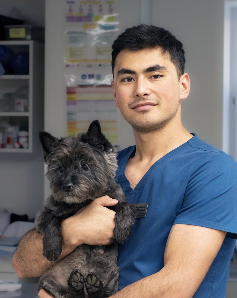 Нуриддинов Абдулхамид, ассистент ветеринарного врача