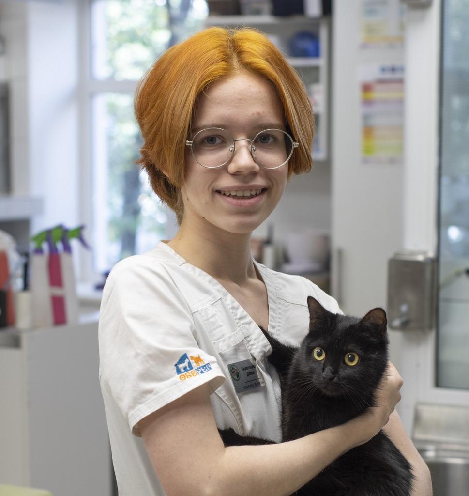 Каменецкая Дарья, ассистент ветеринарного врача