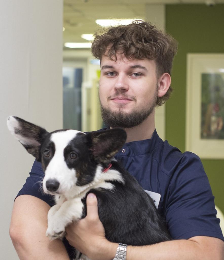 Тарсуков Олег, ассистент ветеринарного врача