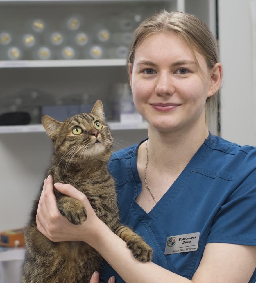 Волостнова Дарья, ассистент ветеринарного врача