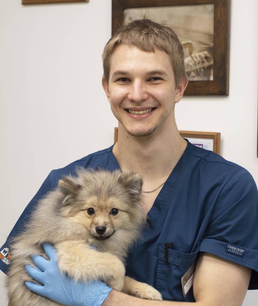 Белов Николай, ассистент ветеринарного врача