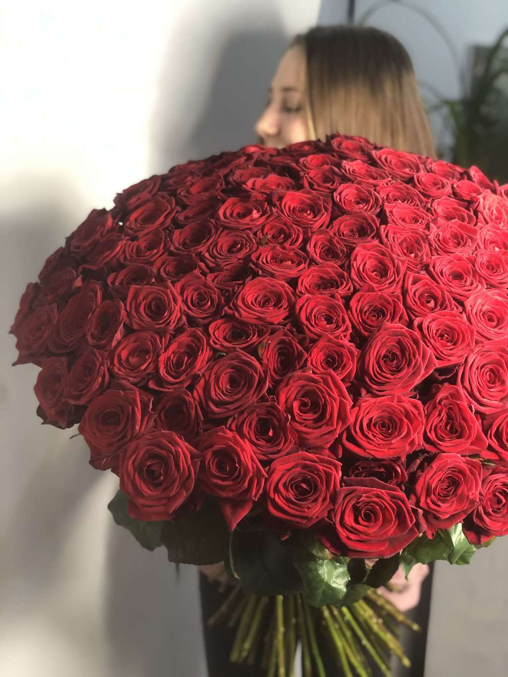 101 красная роза