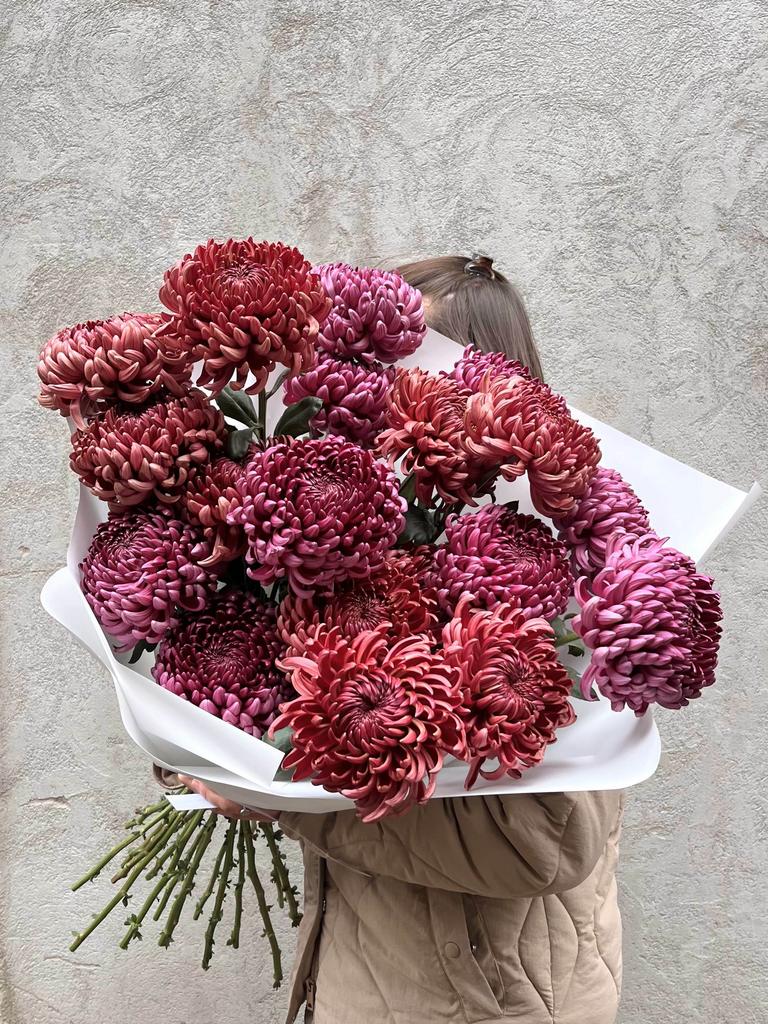 Хризантема бигуди