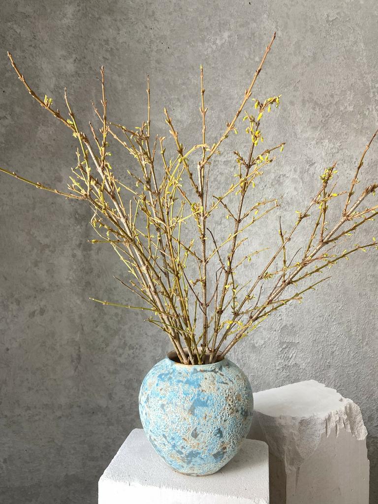 Веточки форзиции