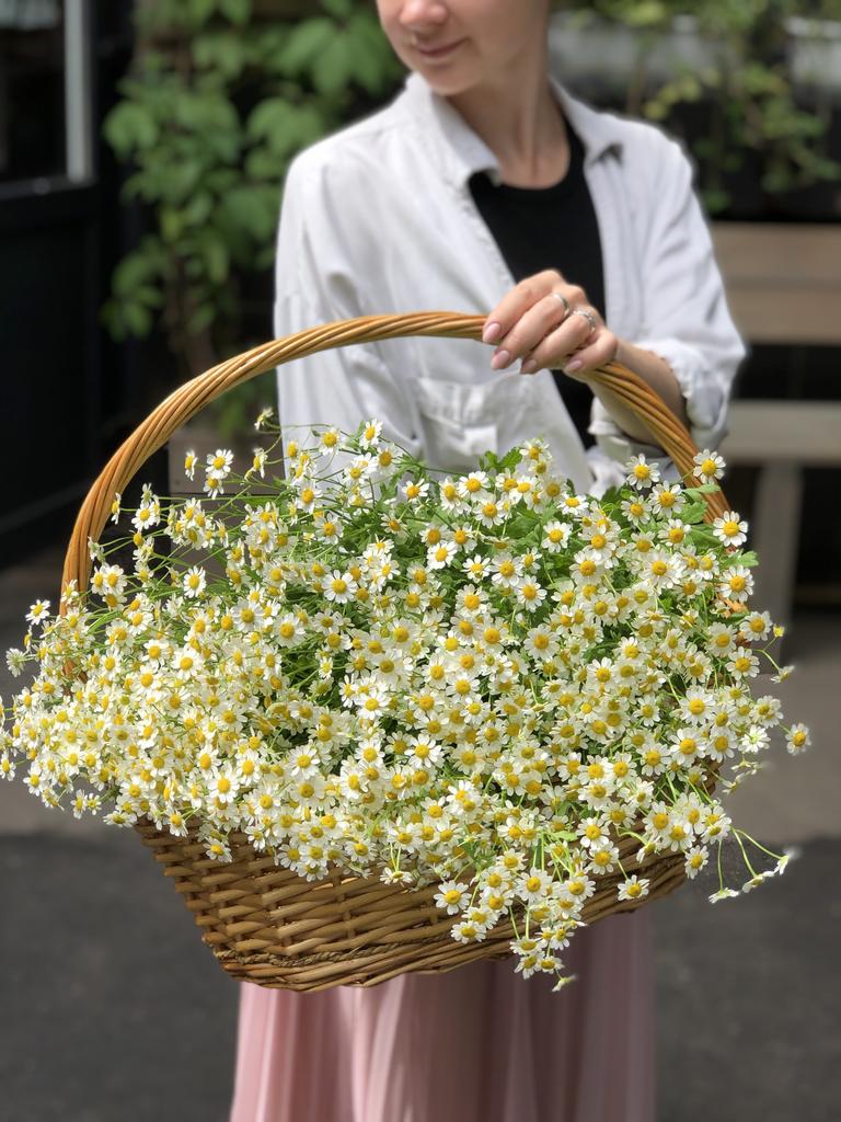 Корзина ромашек