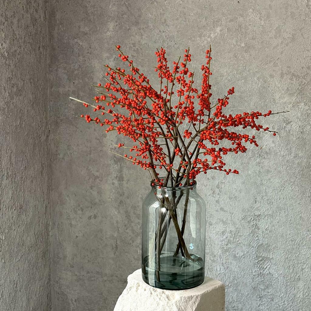 Ветки илекса