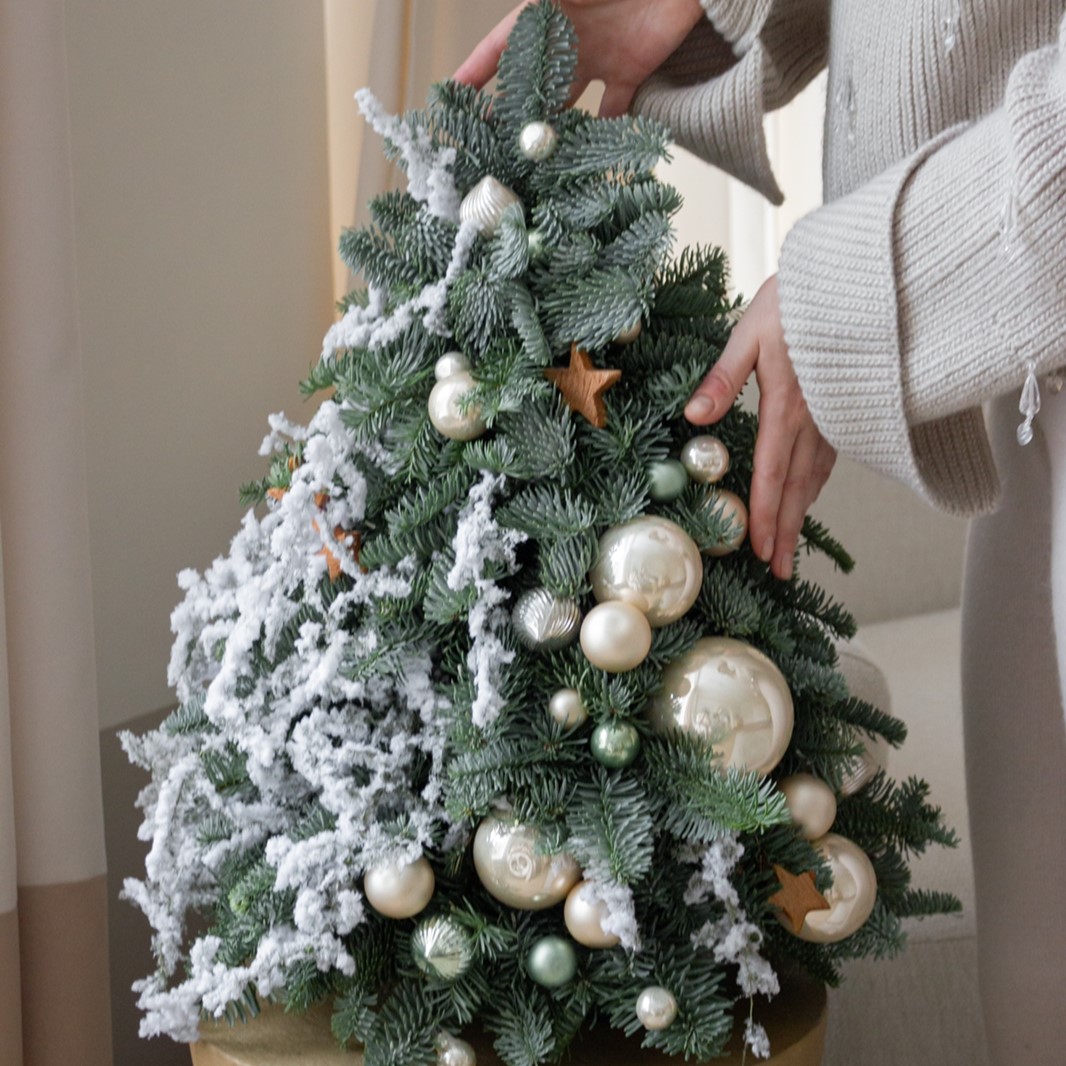 Мастер-класс "Ёлочка из живой хвои" 20.12 в 14.00