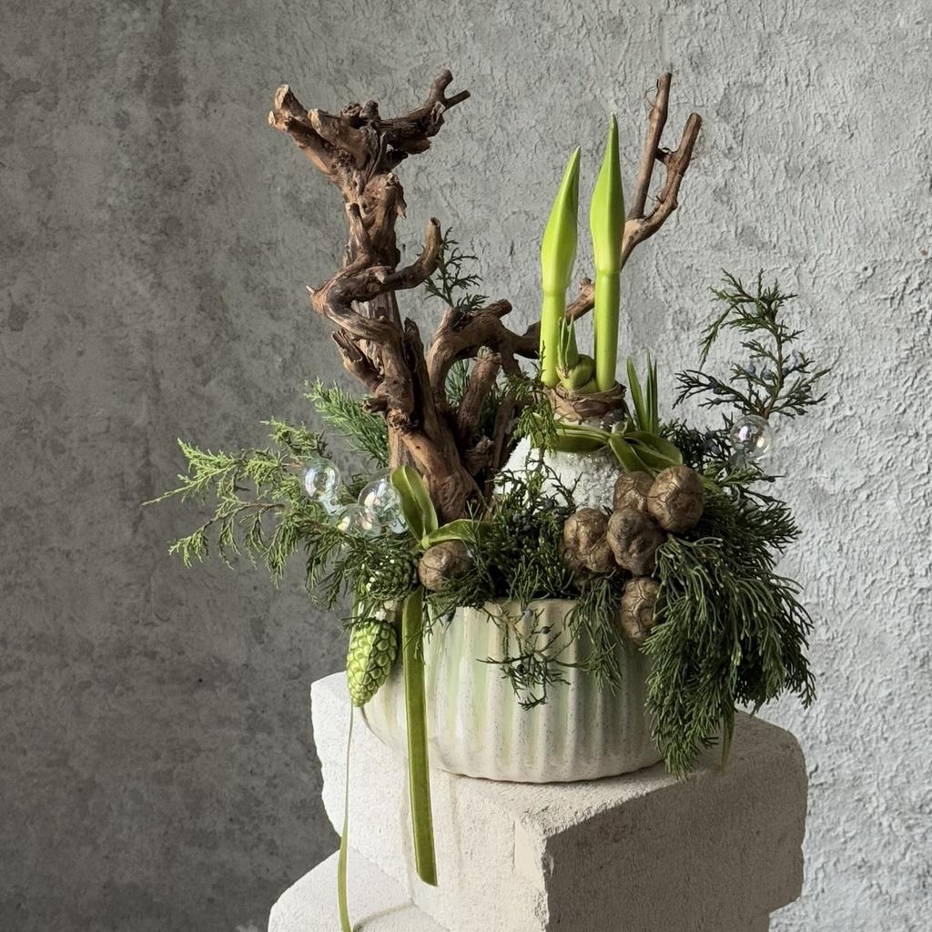 Композиция с луковицей амариллиса