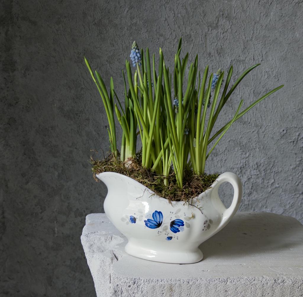 Первоцветы в винтажном соуснике