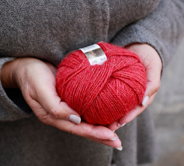 SIERRA ANDINA | color 16