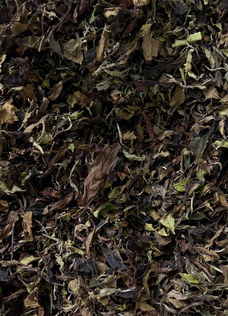 Белый чай с древних деревьев из Бан Чжан / 2023г.