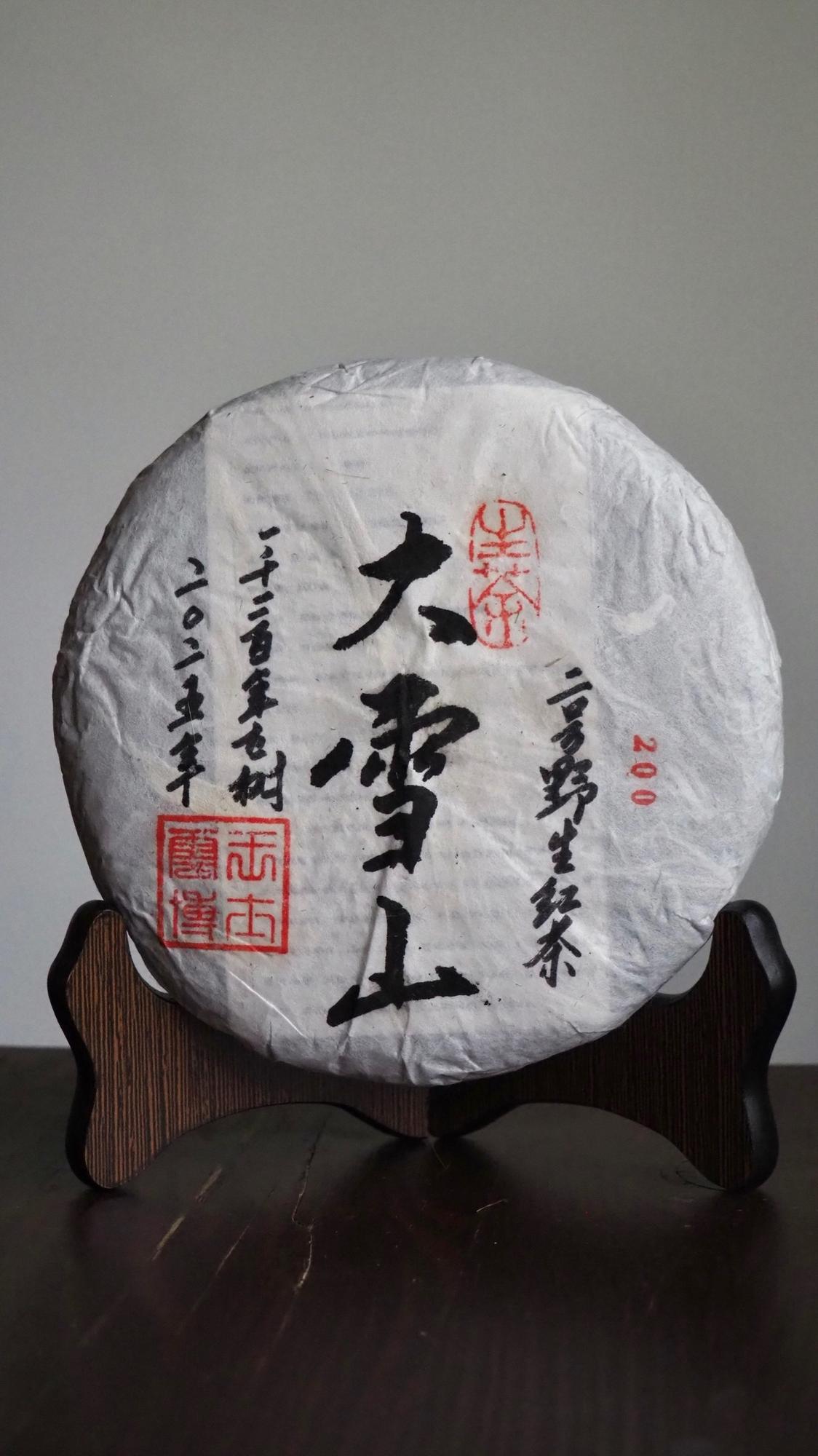 Дикорастущий Шайхун со Снежной горы (2) /2025г.