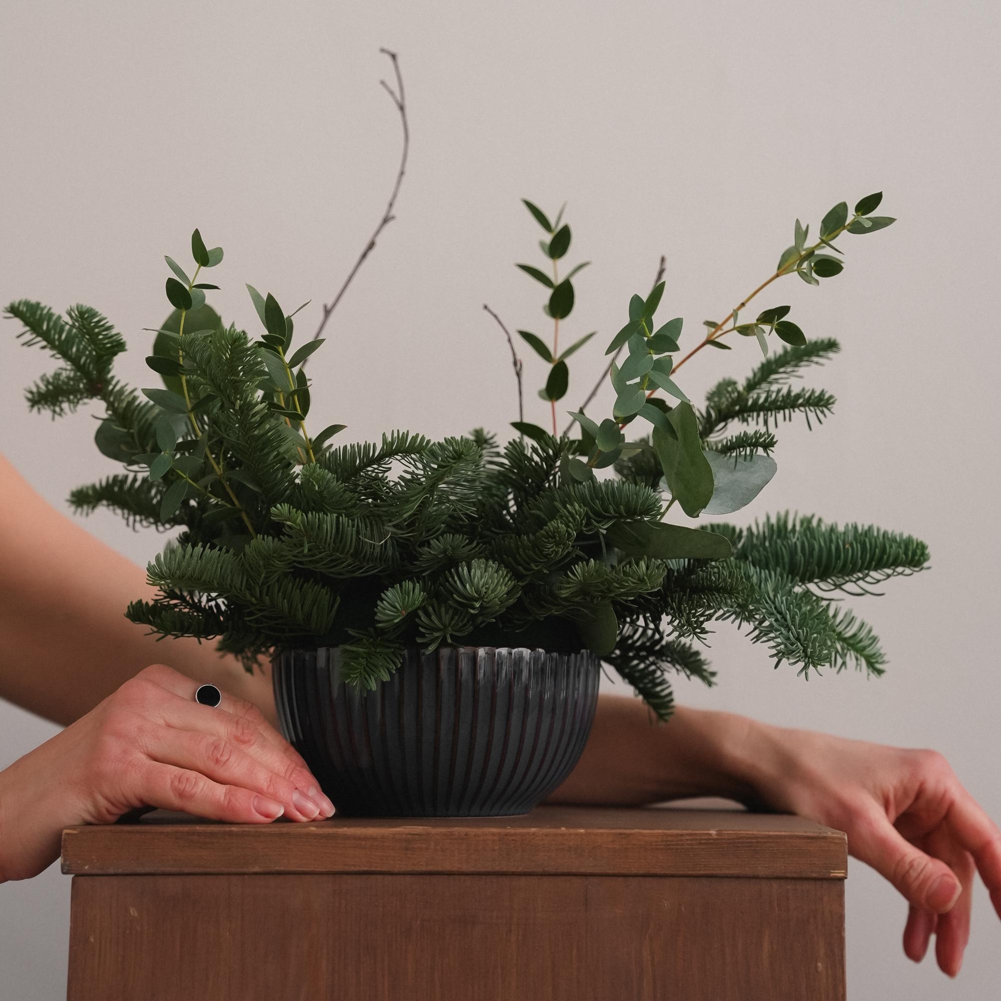 Хвойный лес