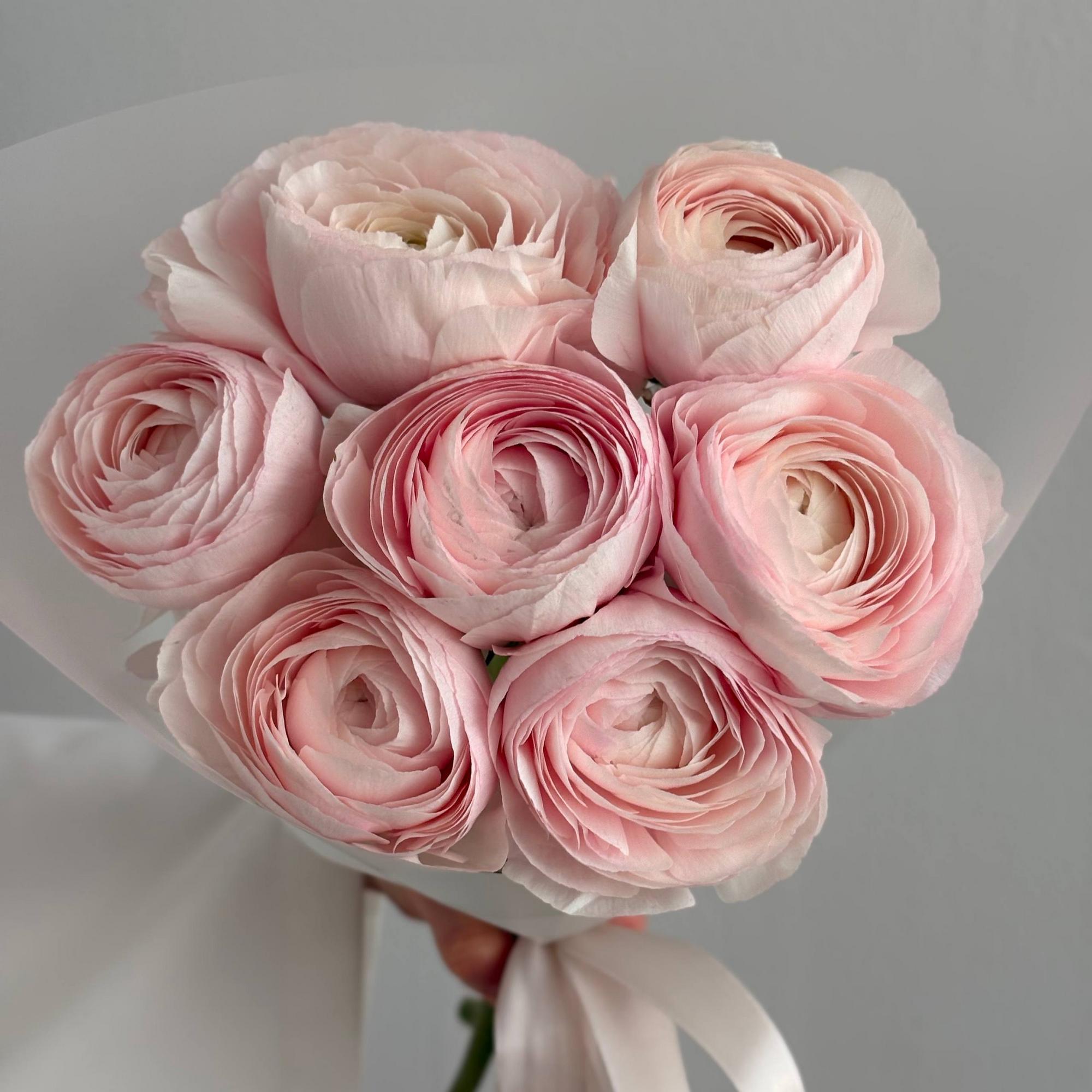 Ранункулюсы моно L