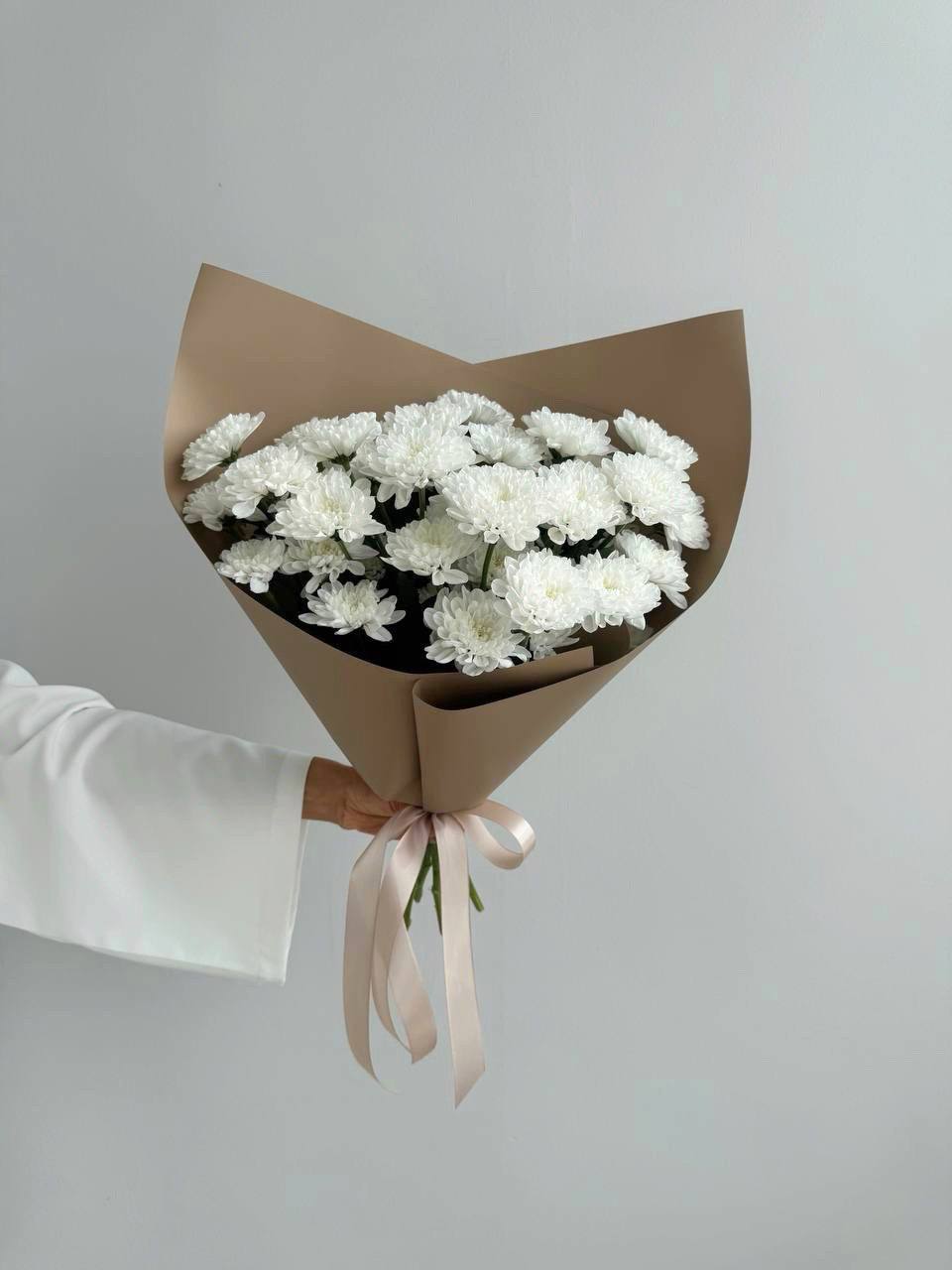 Хризантемы кустовые Алтай 5 шт