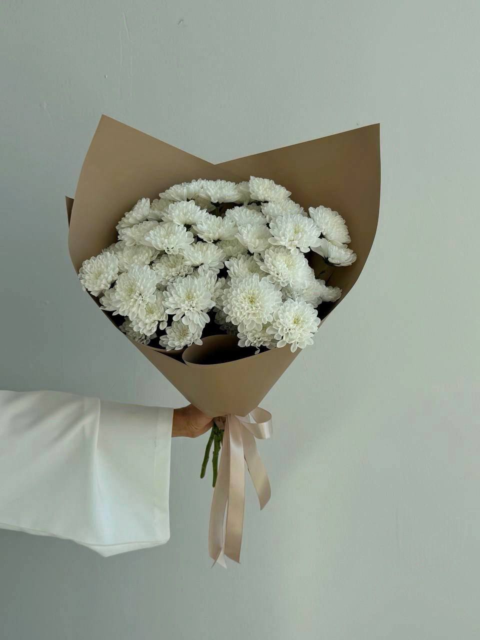 Хризантемы кустовые Алтай 7 шт