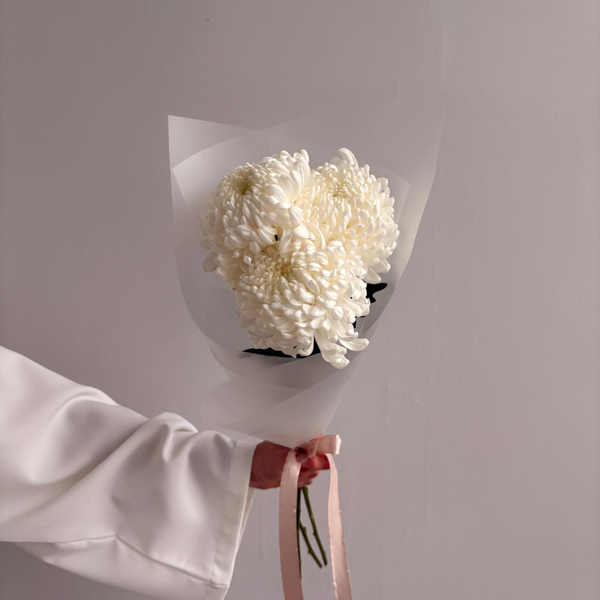 Шарообразные хризантемы Рибонет 3 шт