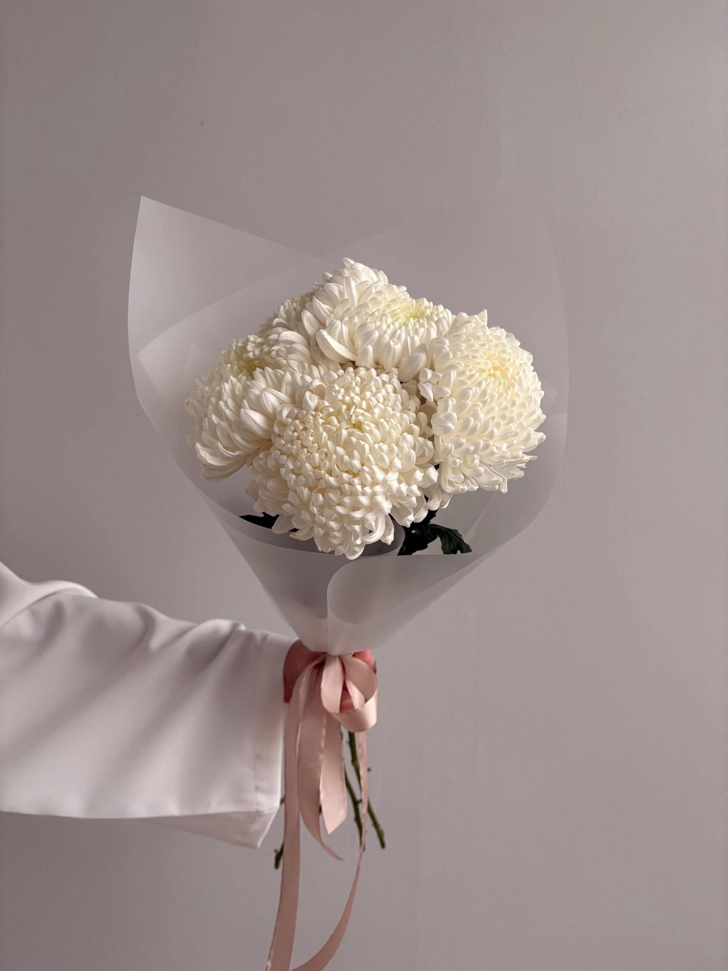 Шарообразные хризантемы Рибонет 5 шт