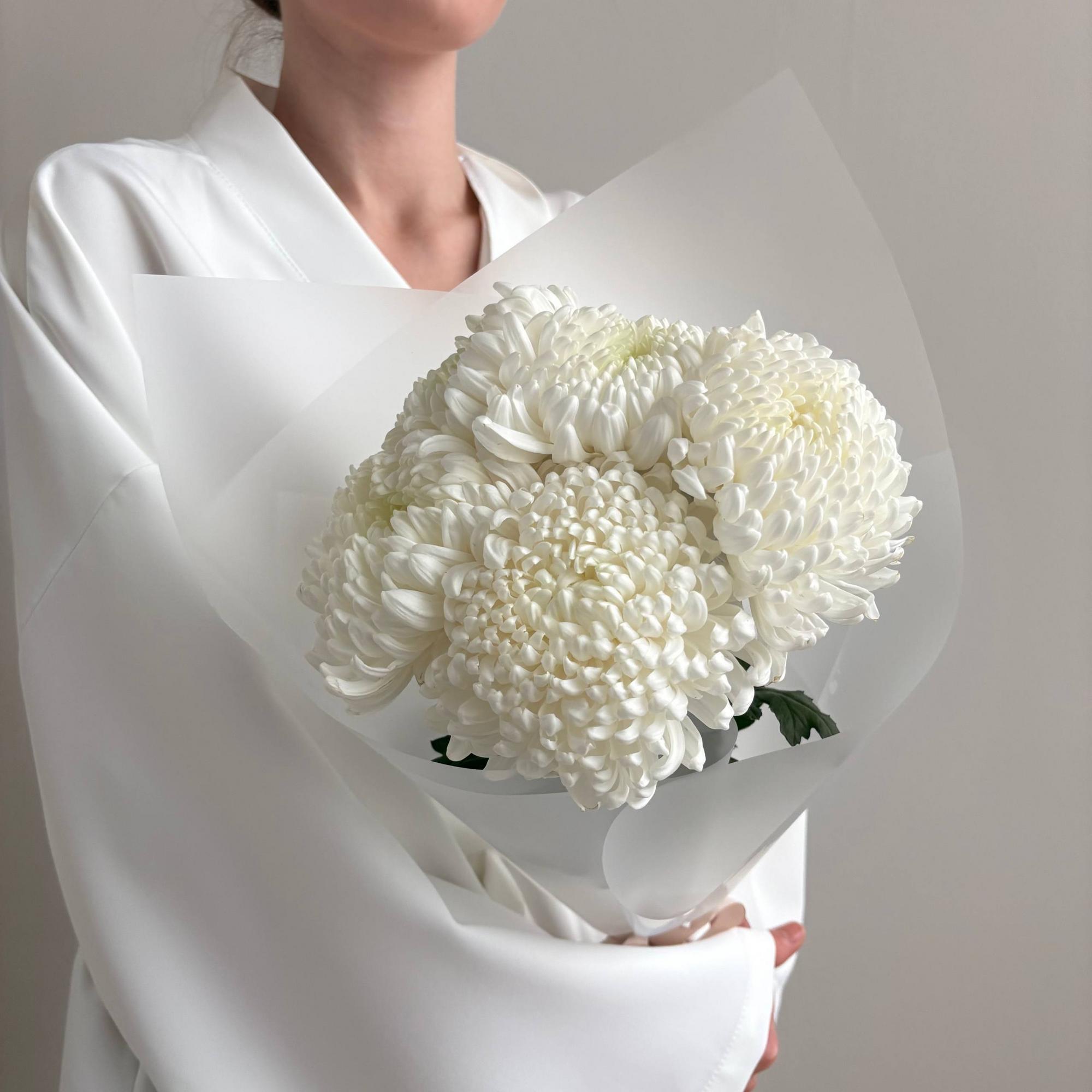 Шарообразные хризантемы Рибонет 5 шт