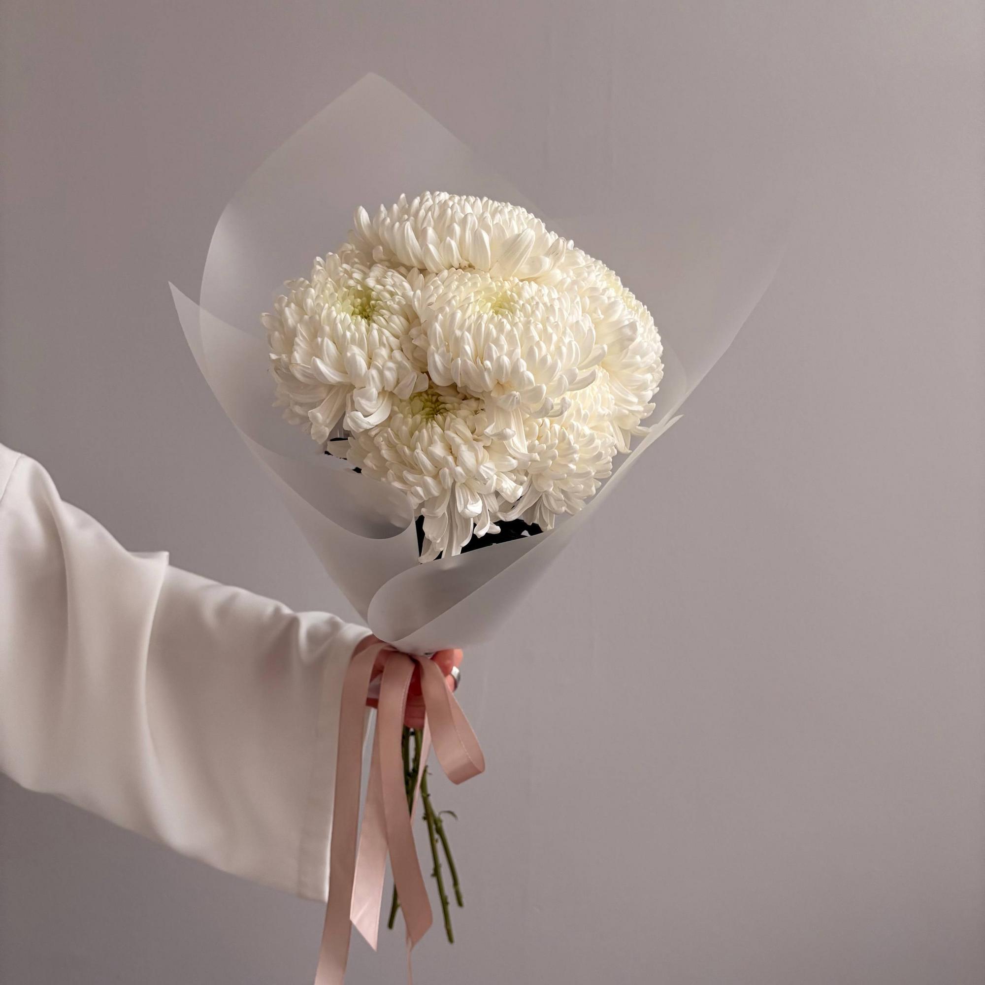 Шарообразные хризантемы Рибонет 7 шт