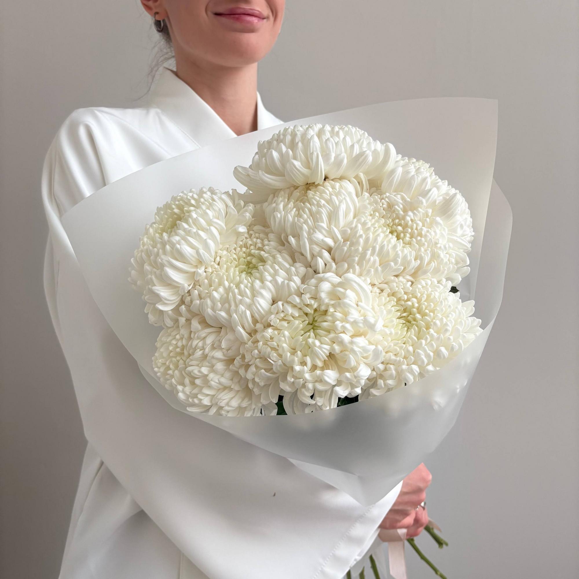 Шарообразные хризантемы Рибонет 9 шт