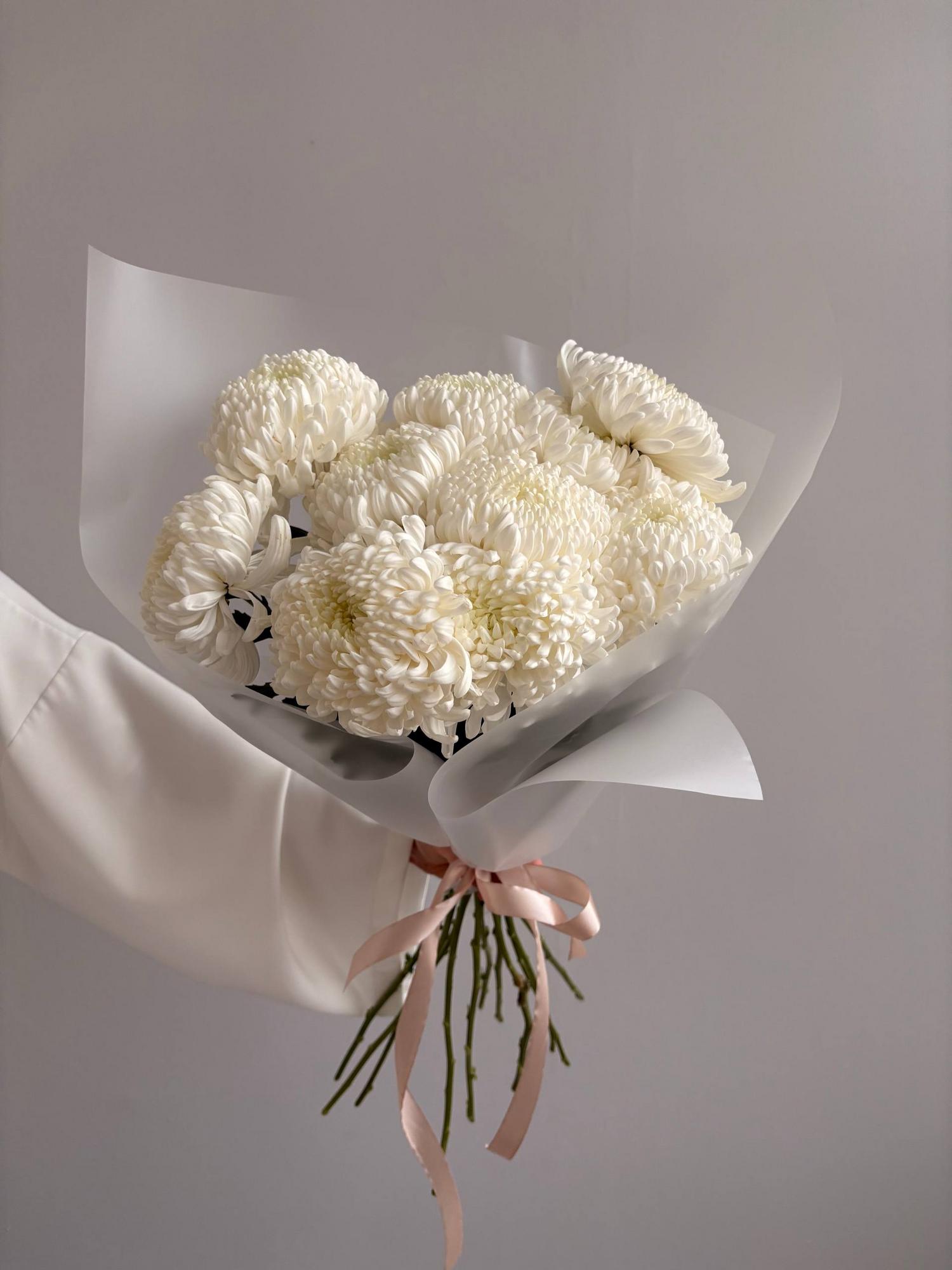 Шарообразные хризантемы Рибонет 11 шт