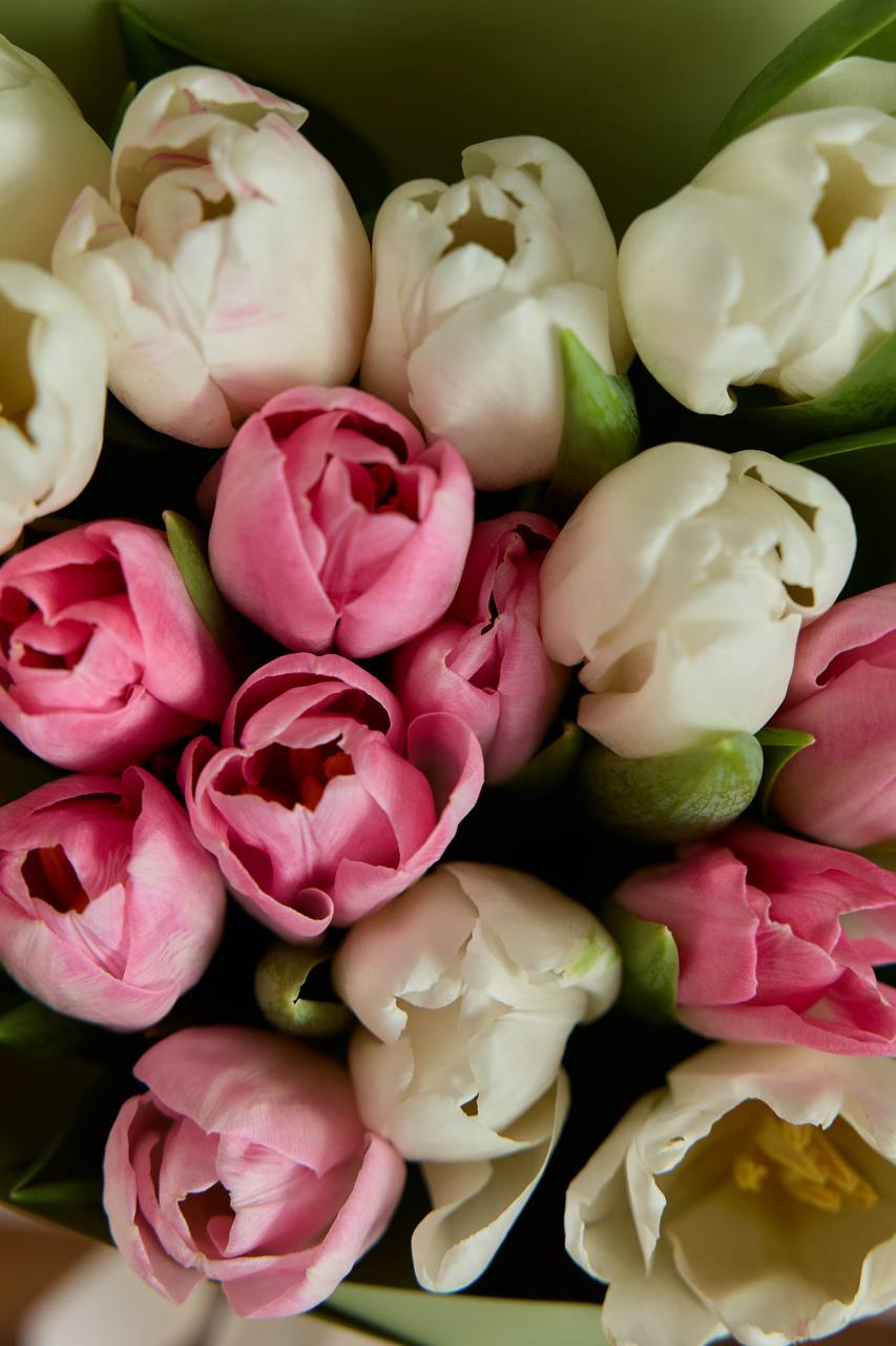 Тюльпаны светлые 19 шт