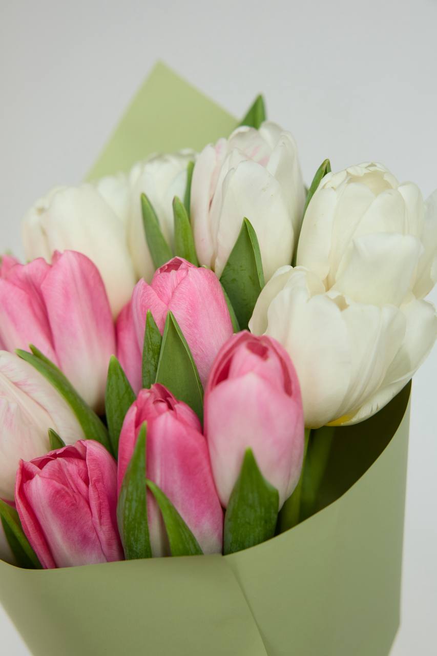 Тюльпаны светлые 15 шт