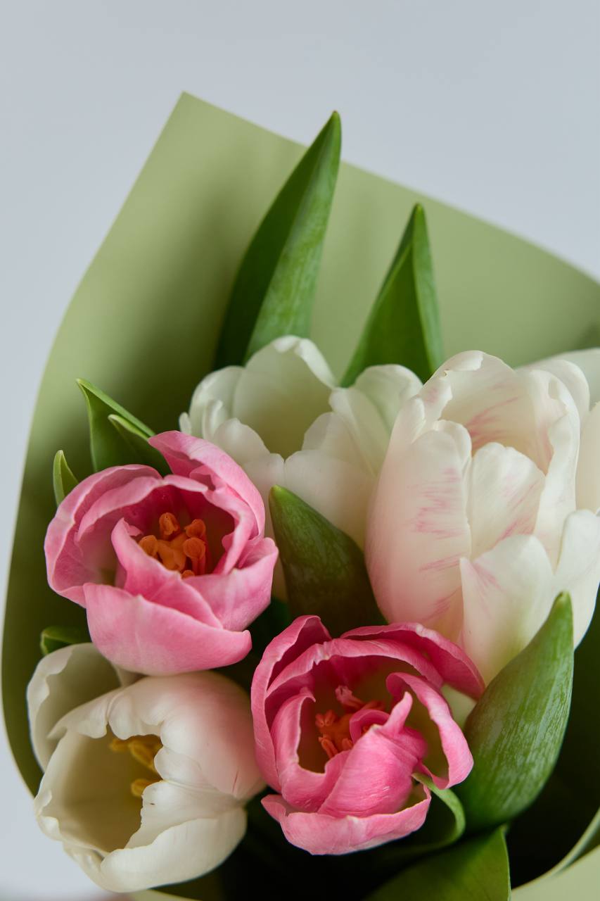 Тюльпаны светлые 5 шт