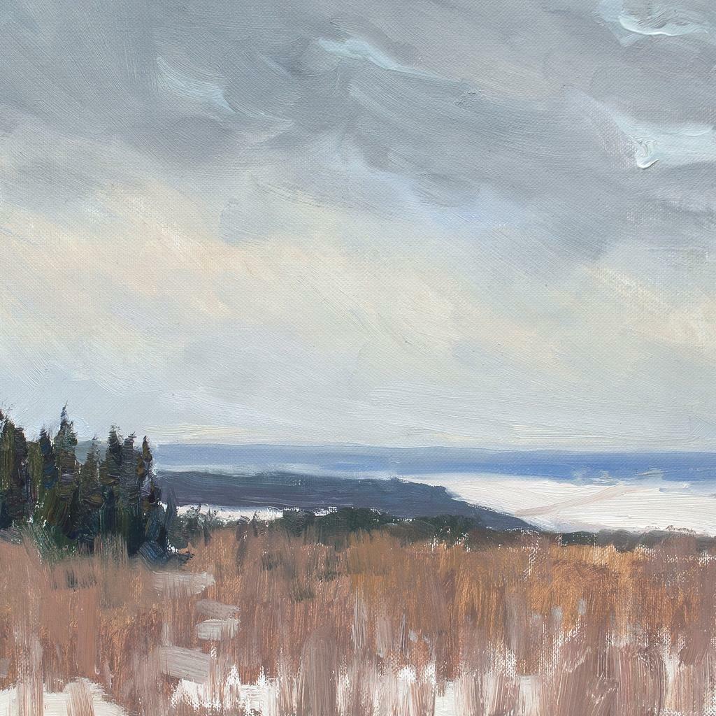 Зимний. 20х20см