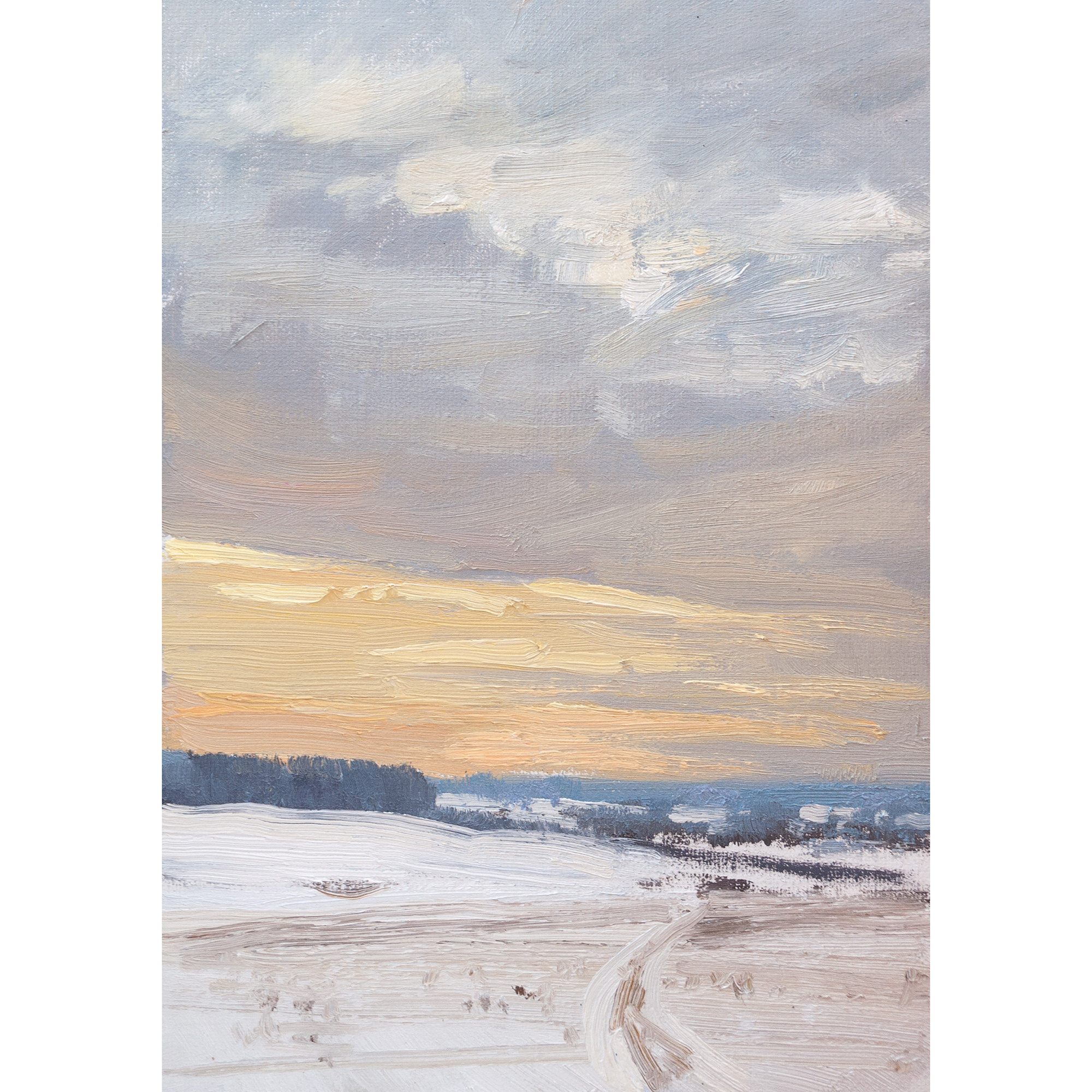 Зимний день. 21х15см