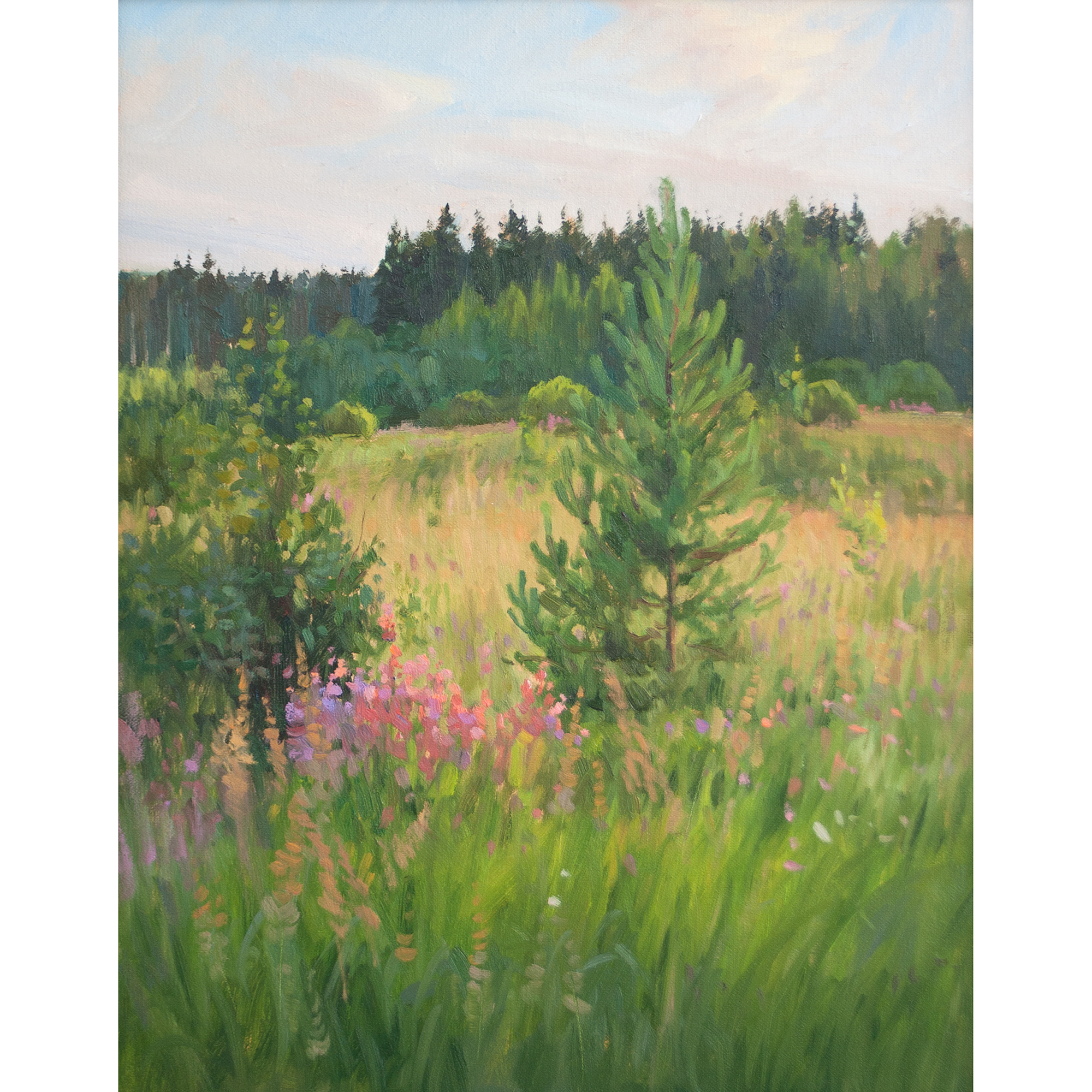 Июльский вечер. 50х40см