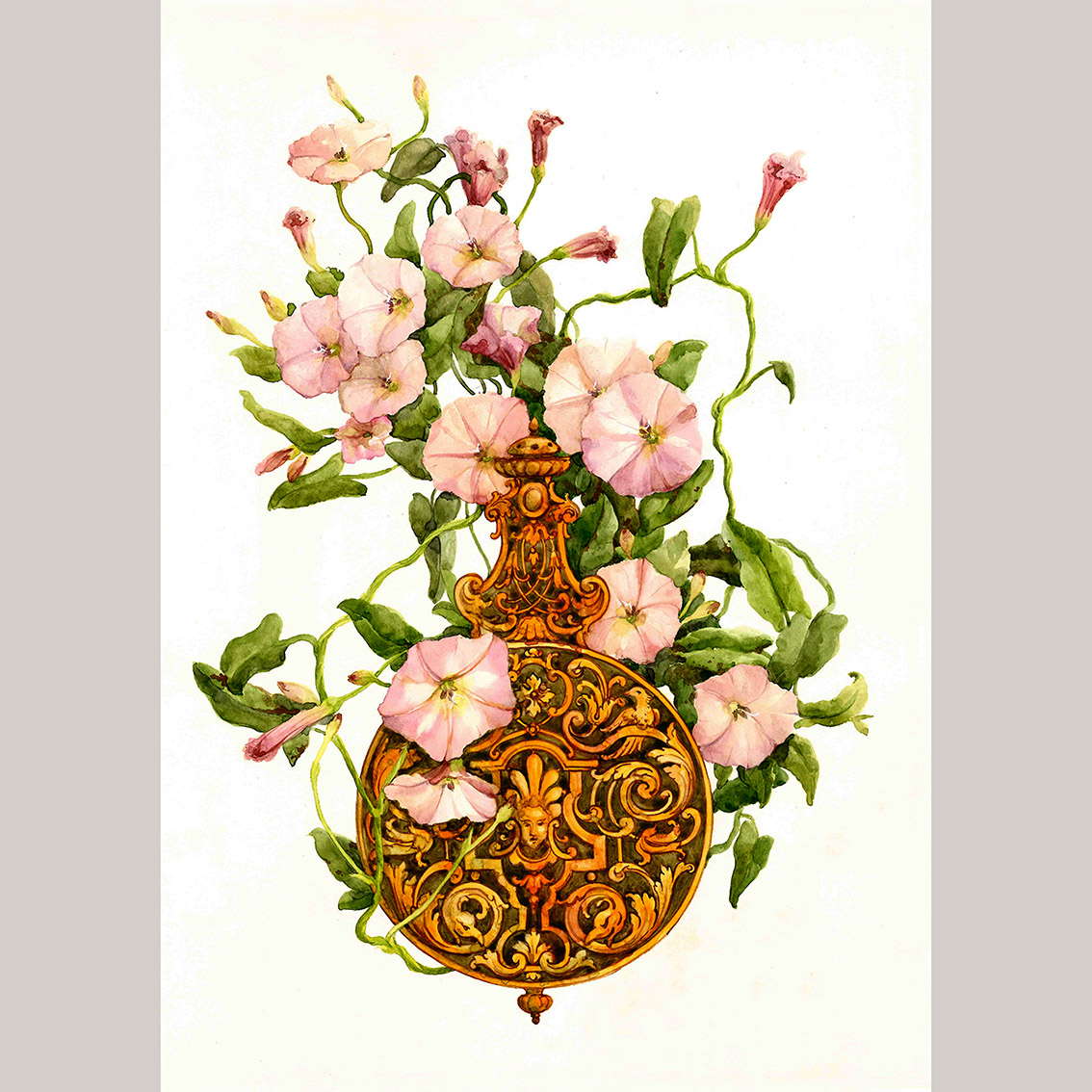 Открытка Вьюнок